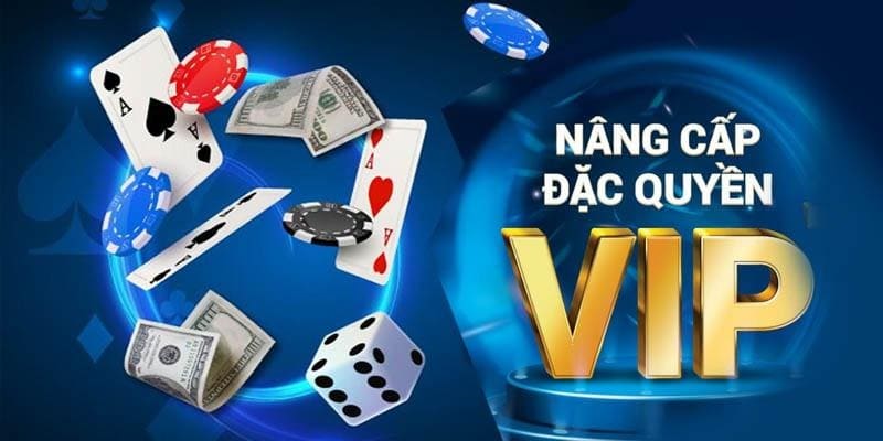 Hội viên VIP luôn được có nhiều đặc quyền riêng 